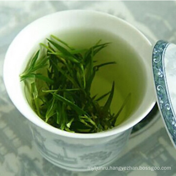 High Mountain Chinese Green Tea with Competitive Export Price